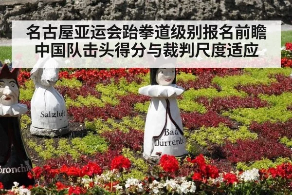 名古屋亚运会跆拳道级别报名前瞻 中国队击头得分与裁判尺度适应